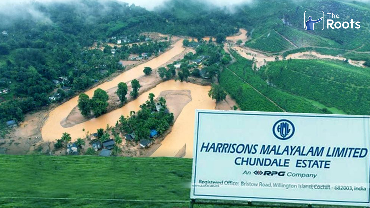 പുനരധിവാസ ടൗൺഷിപ്പ്: വയനാട്ടിൽ സർക്കാർ ഏറ്റെടുക്കാനുള്ളത് 60000-ത്തോളം ഏക്കർ തോട്ടംഭൂമി 